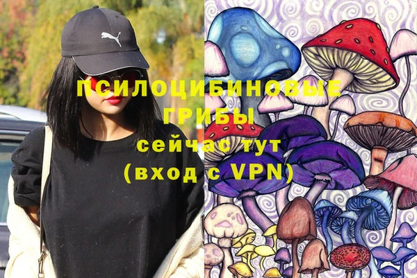гашик Алзамай