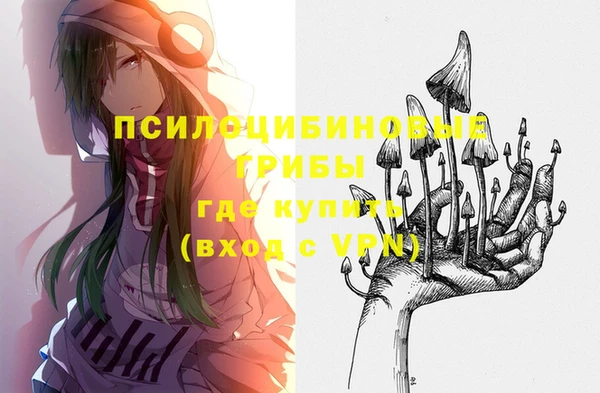 твердый Приозерск