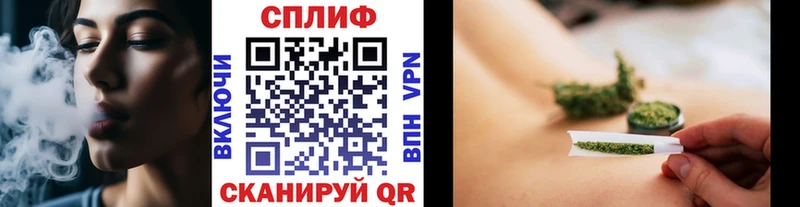 Канабис сатива  Задонск 